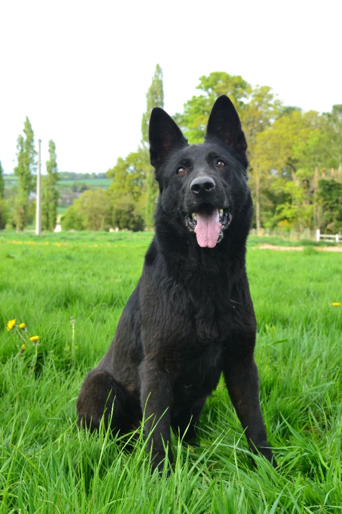 Publication : Des Gardiens Enchainés 