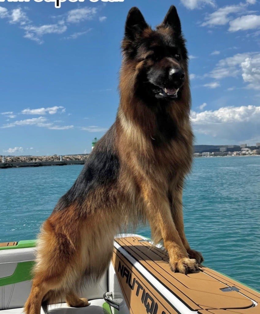 Publication : Du Parc De Versailles Auteur : MA