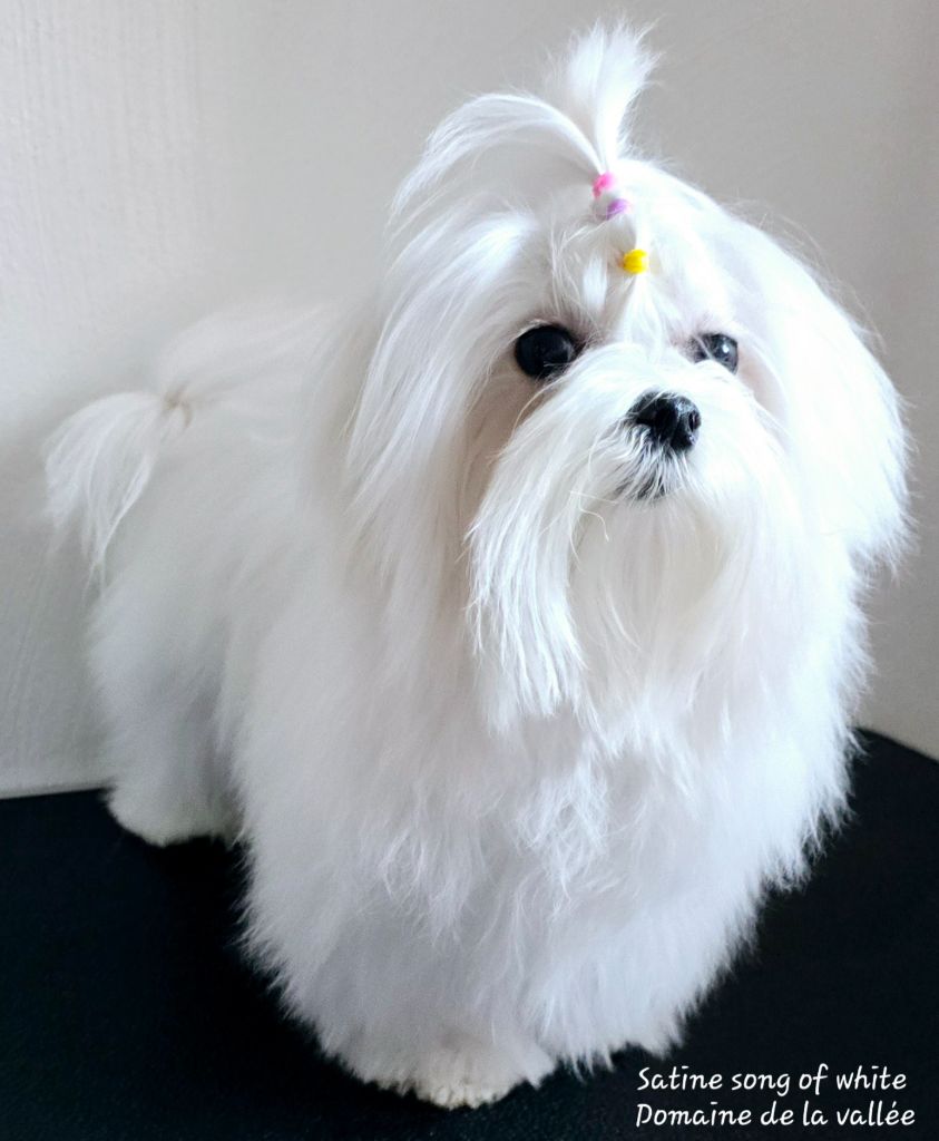 Publication : (Sans Affixe) 