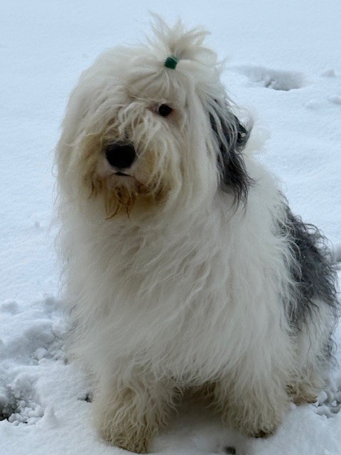 Publication : of Mary People Auteur : OF MARY PEOPLE