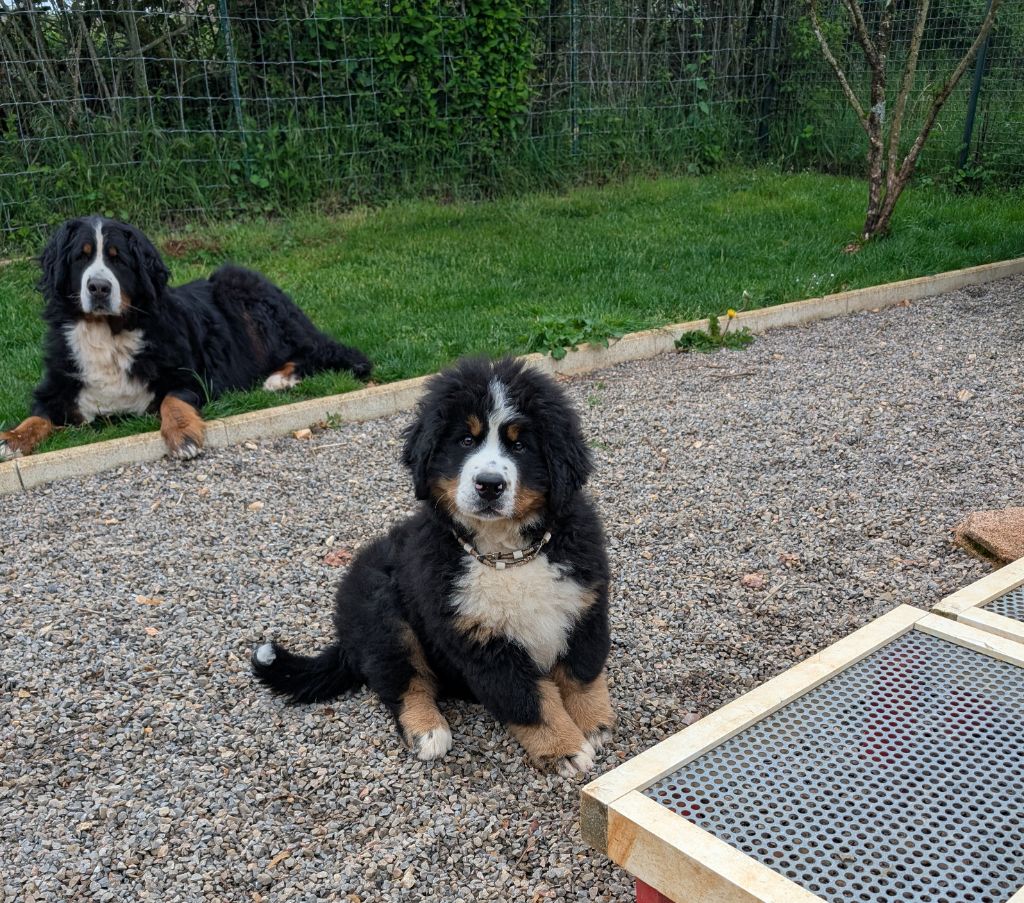 Publication : du roi des lacs