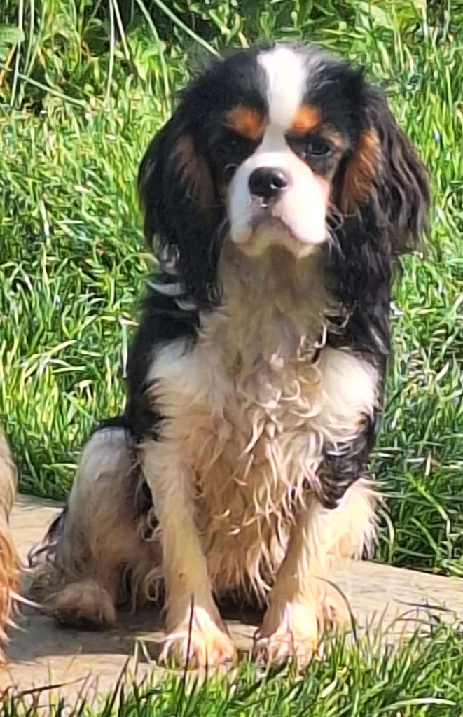 Publication : Du puits des sortileges 