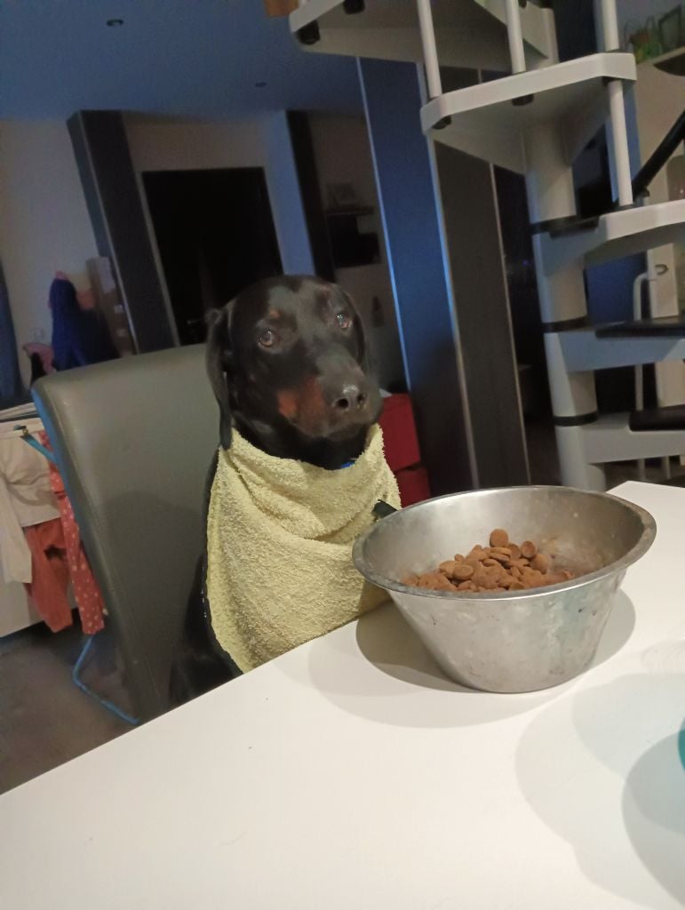 Publication : De La Forêt Argonnaise 