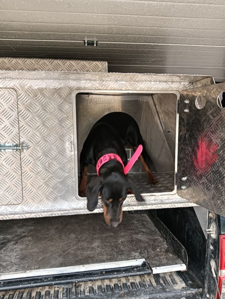 Publication : De La Forêt Argonnaise 