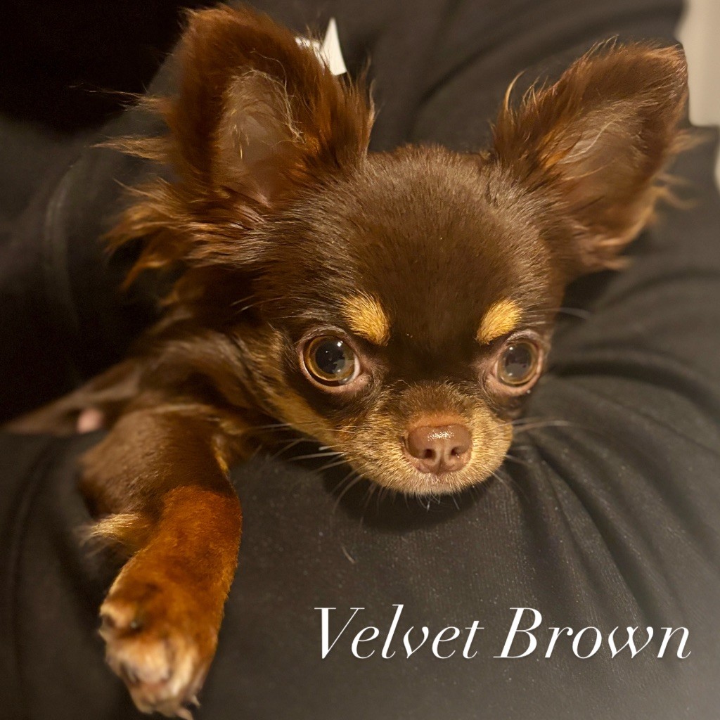 Publication : Du Cocon Des Petits Héros Auteur : NOEMIE GARROS