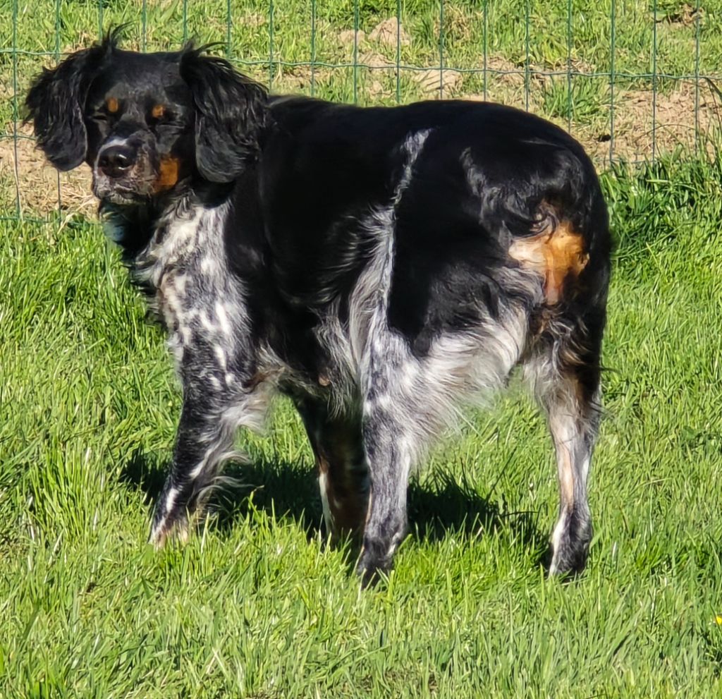 Publication : de la lune argentée Auteur : Bernard ValÃ©rie 