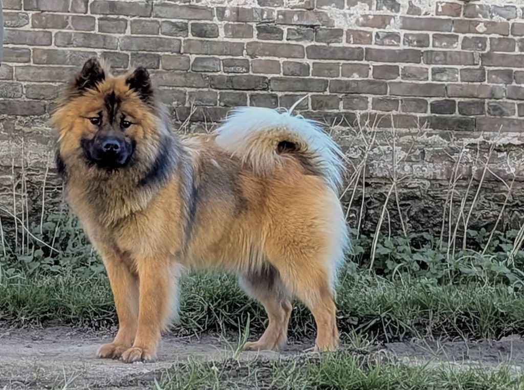 Publication : Idylles De La Déesse Neith Auteur : Eva vault Deschamps