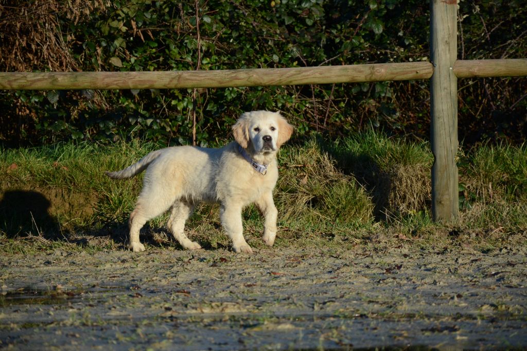 Publication : De Novely 