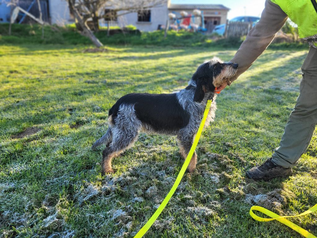 Publication : De La Cabane De Tsuki 