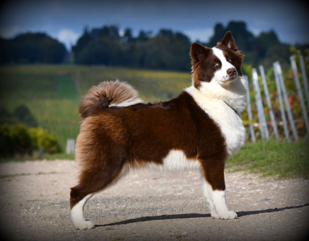 Publication : des Legendes de Retz 