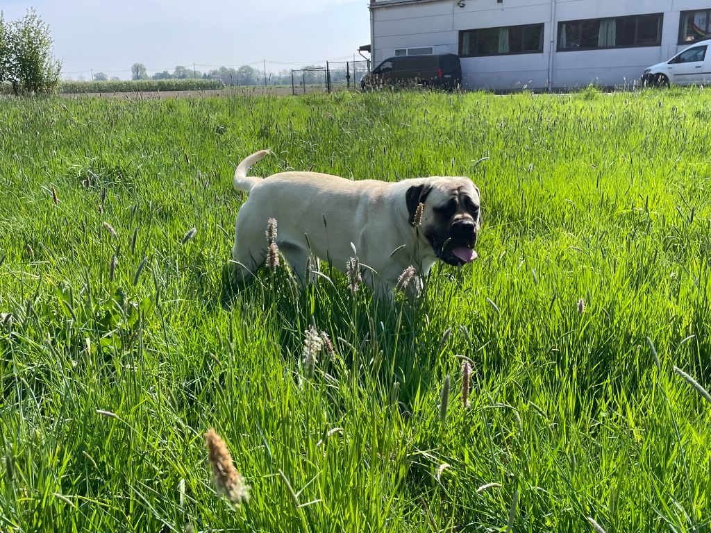 Publication : Domaine De Ker Meliet 