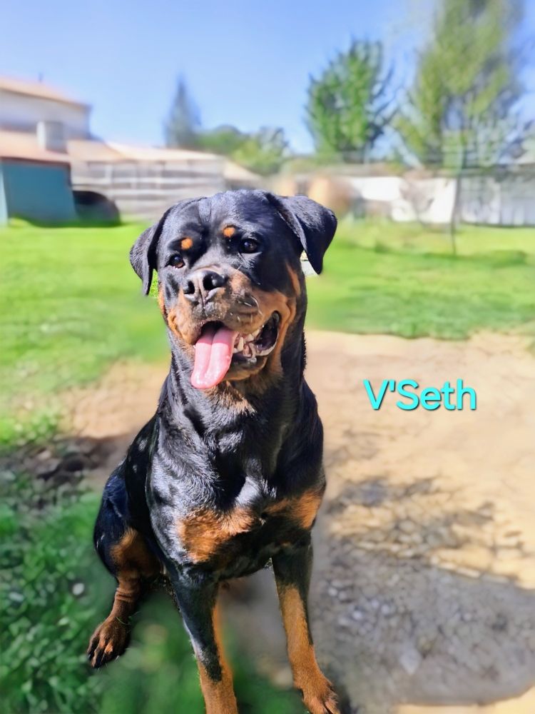 Publication : Des Gardiens Des Constellations 