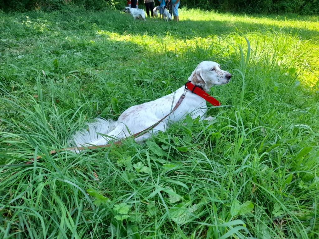 Publication : Des Crêtes D'Ixartoya 