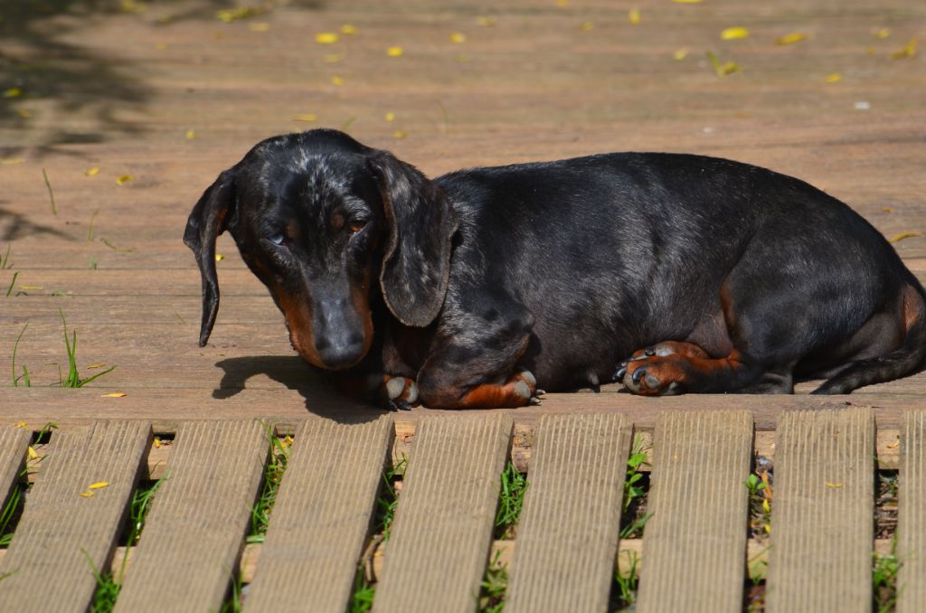 Publication : Du Clos Des Bords De Mer Auteur : pierrette quesne