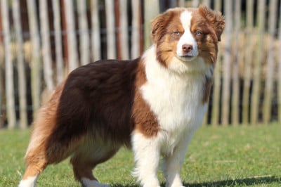 Vogue du pic d’espade