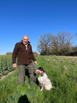 Étalon Setter Anglais - Triskel De Marais Becasses