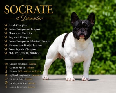 CH. Socrate d'Iskandar