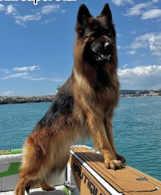 Ulko Du Parc De Versailles