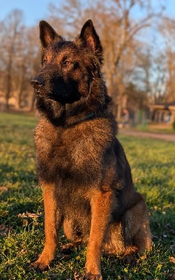 U'yuma De L'Empire Du Mont Sombet