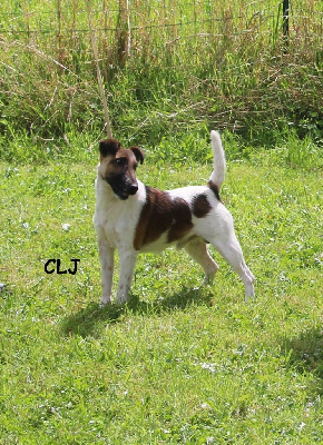 Tréo fall de kernanouet