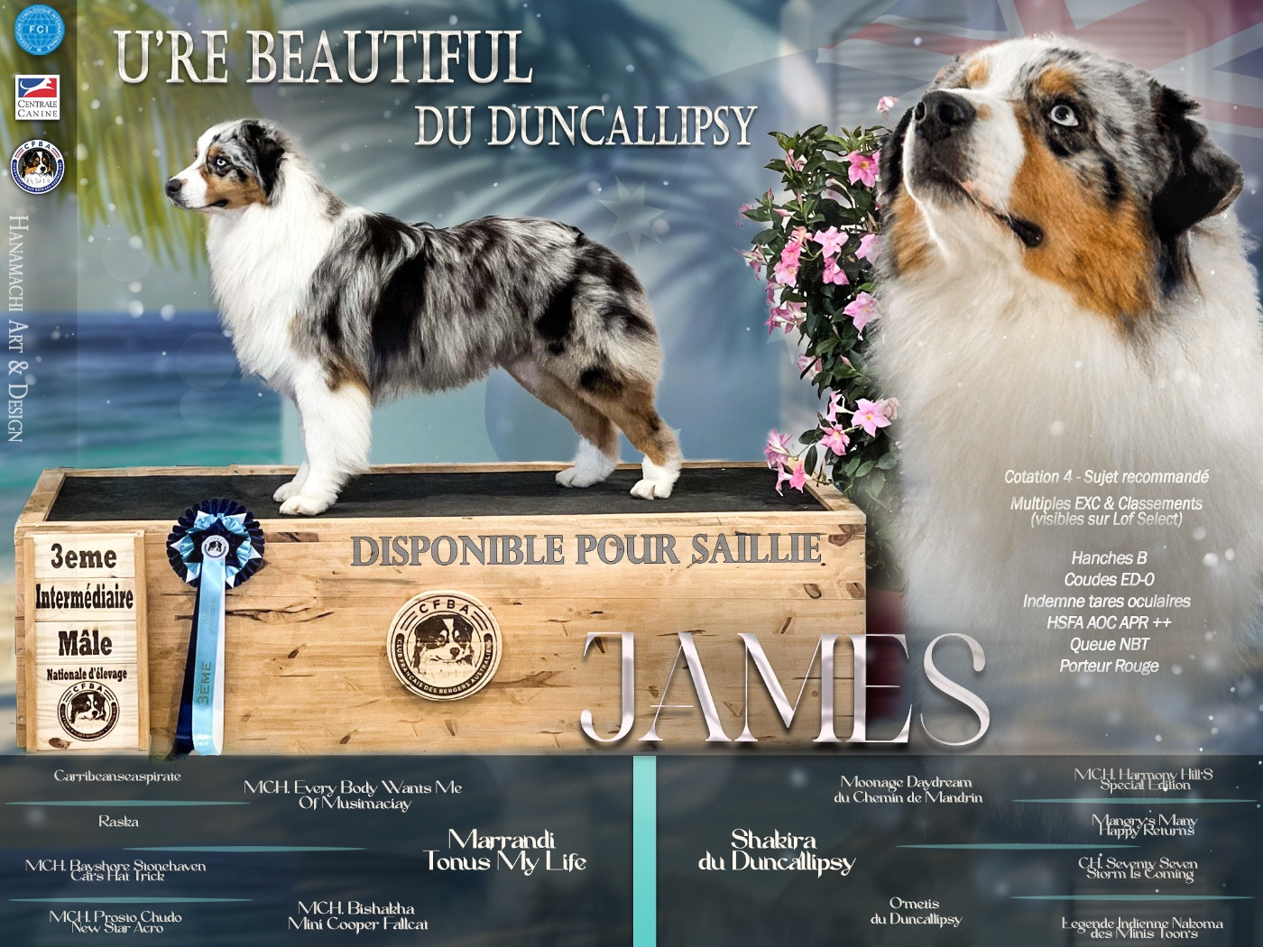 Publication : Des Embruns De Jade 