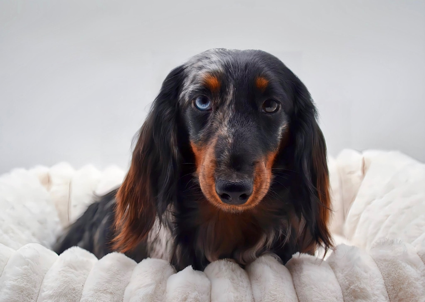 Publication : Diamondskane Auteur : Diamondskane