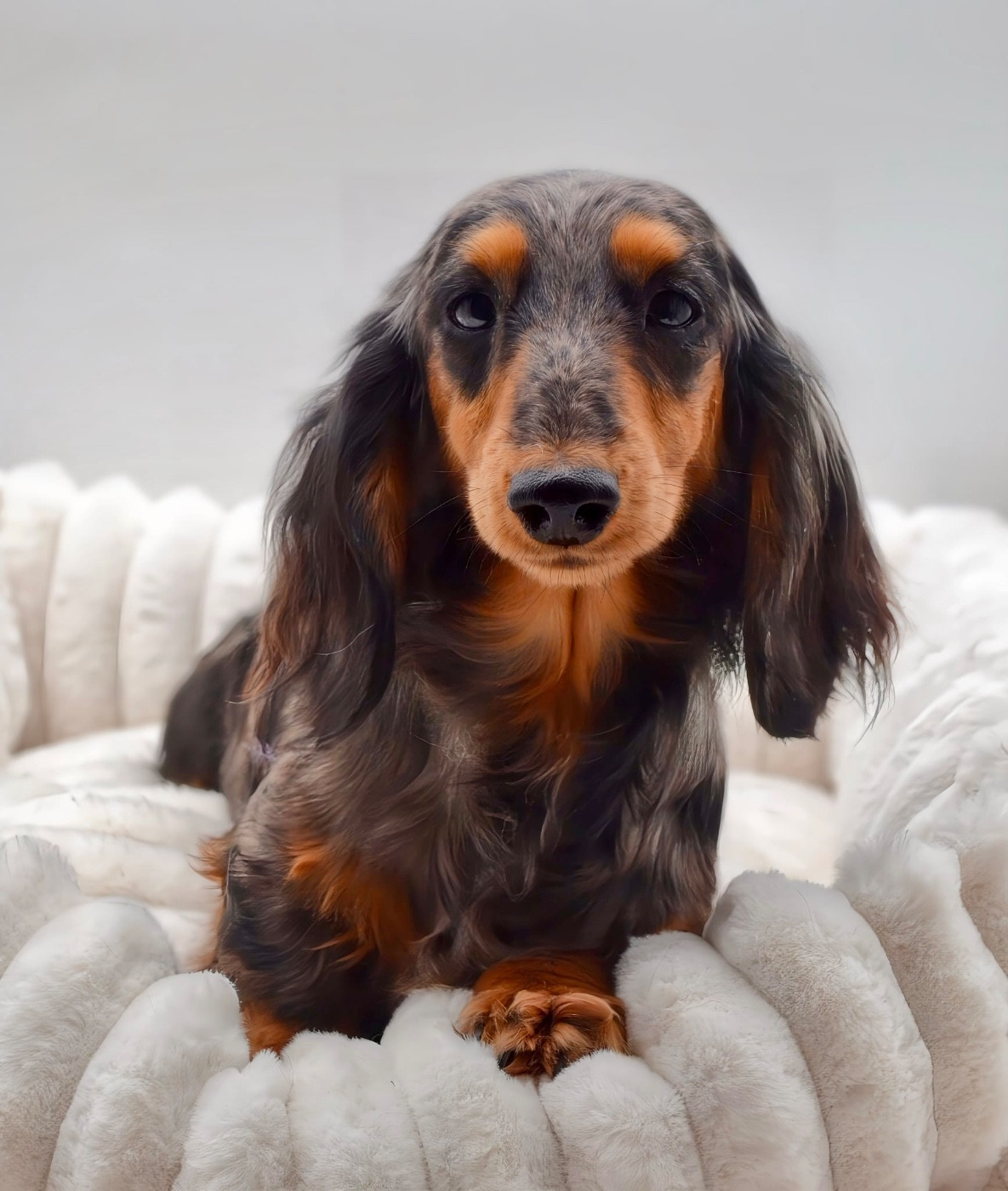 Publication : Diamondskane Auteur : DIAMONDSKANE