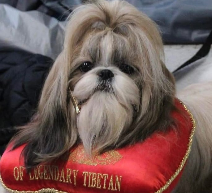 Publication : Of Legendary Tibetan 