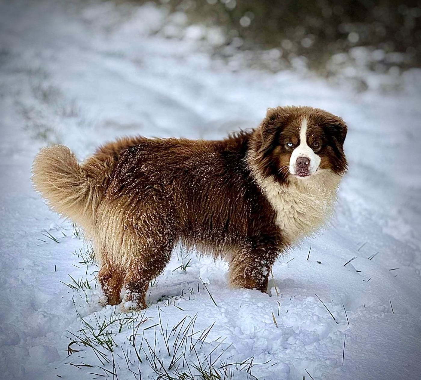 Texas Des sources sacrees