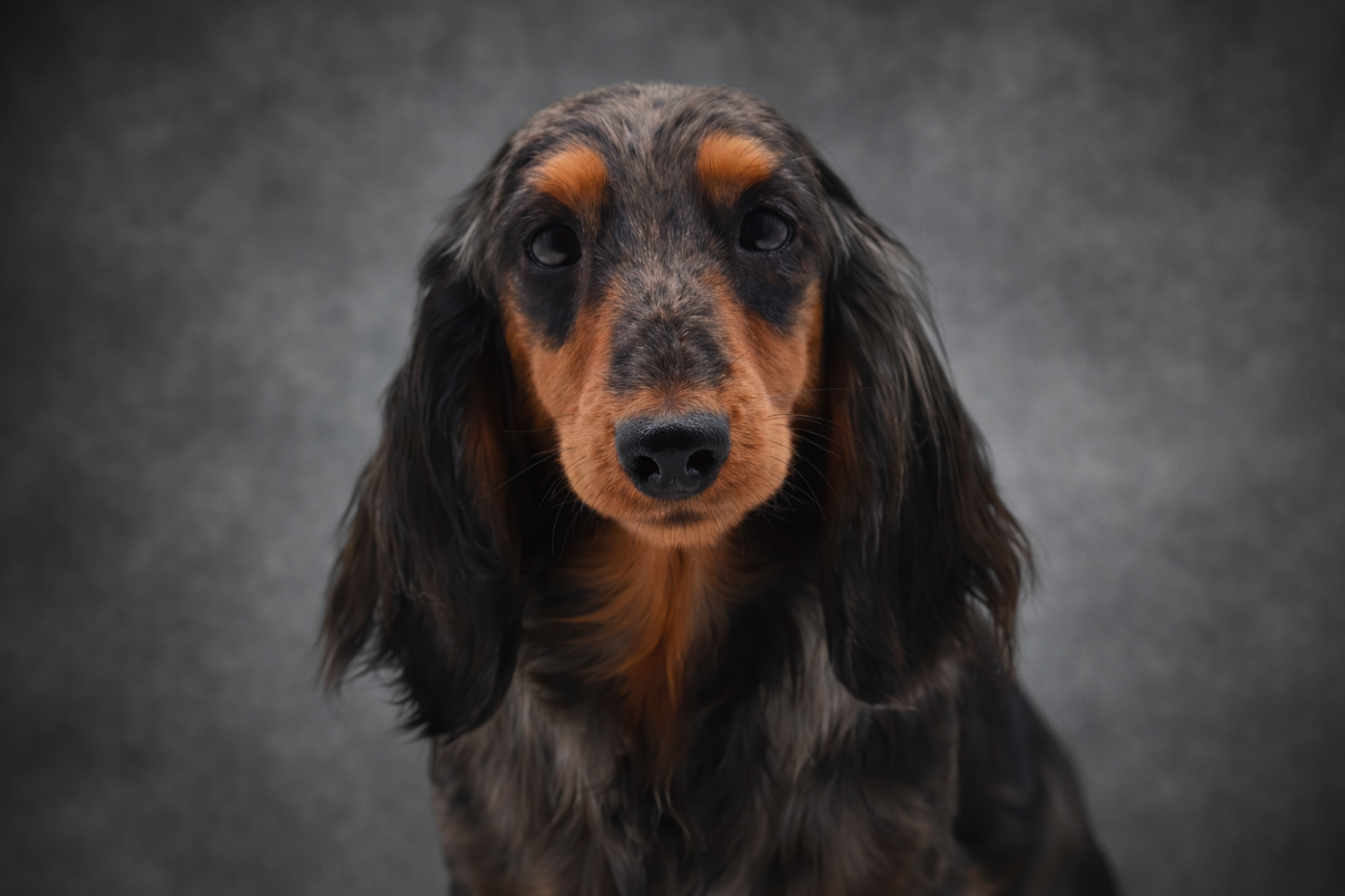 Publication : Diamondskane Auteur : DIAMONDSKANE