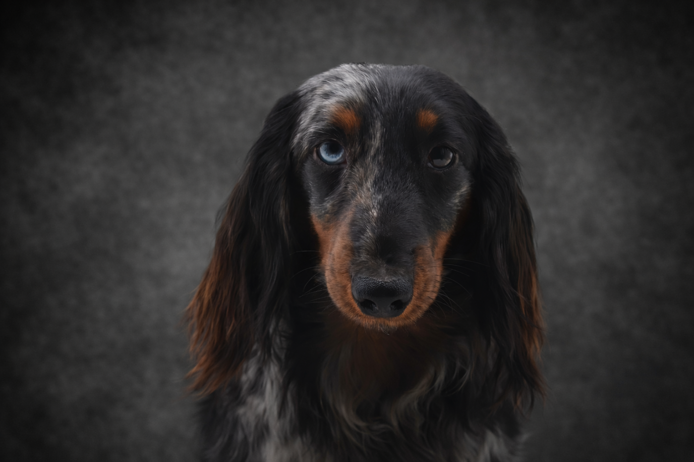 Publication : Diamondskane Auteur : Diamondskane