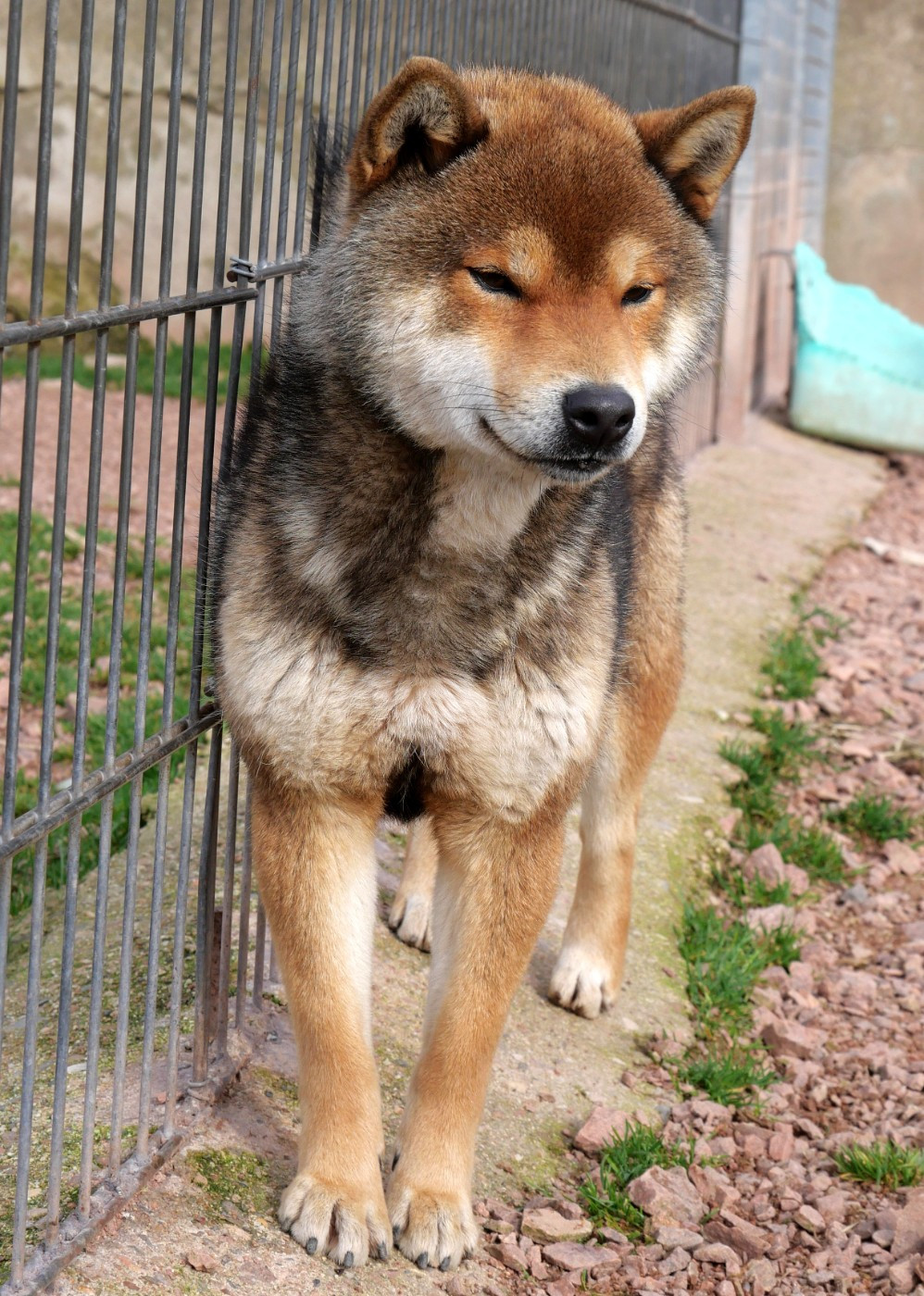 Publication : De la crique du Flojule