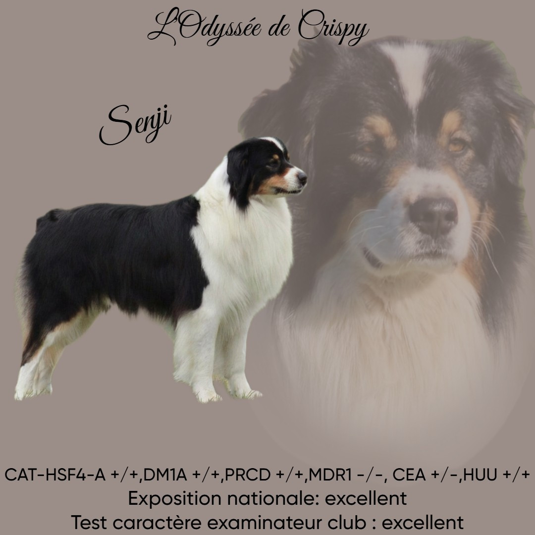 Publication : de l'Odyssée de Crispy