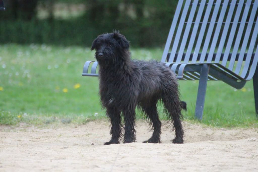 Publication : Du Rêve à La Réalité