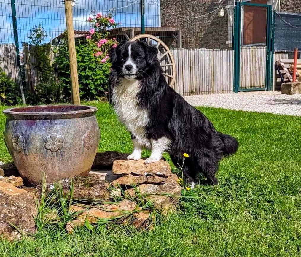 Publication : De L'Esprit D'Oural Auteur : Monginot Cyril