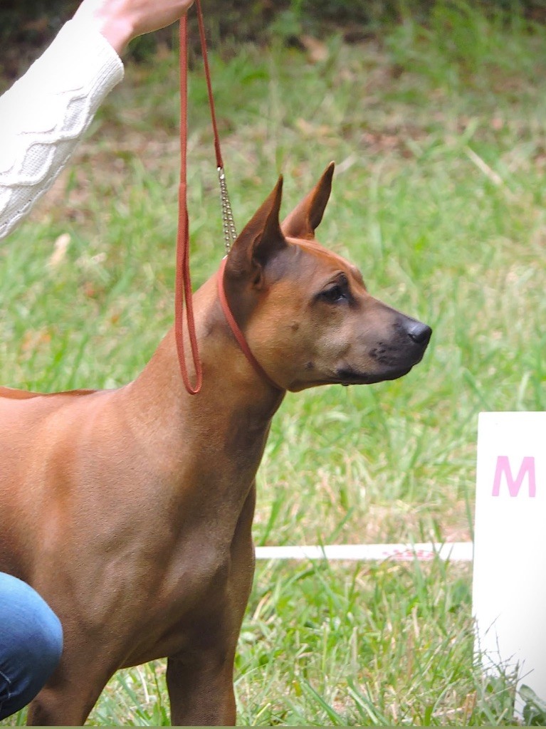 Publication : Des Plaines Du Mont Moret 