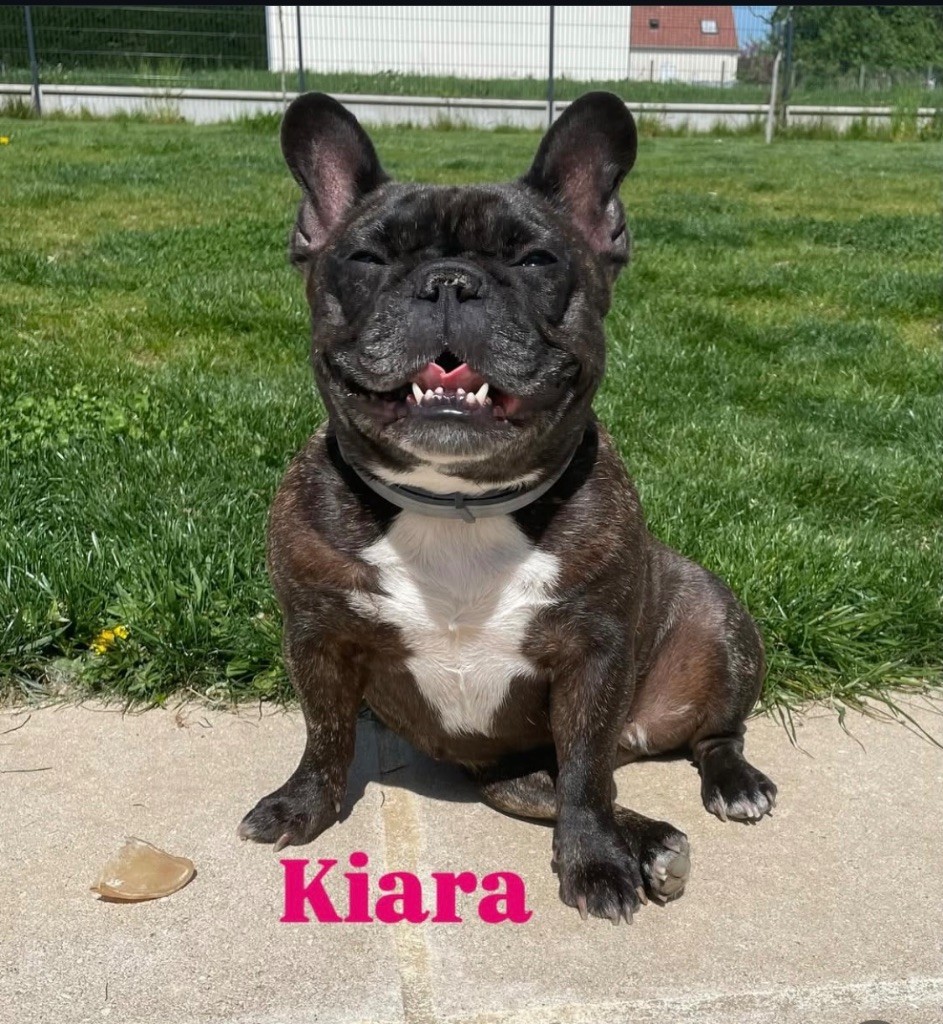 Publication : le Domaine de Kiara Auteur : Altamore Marie Helene 