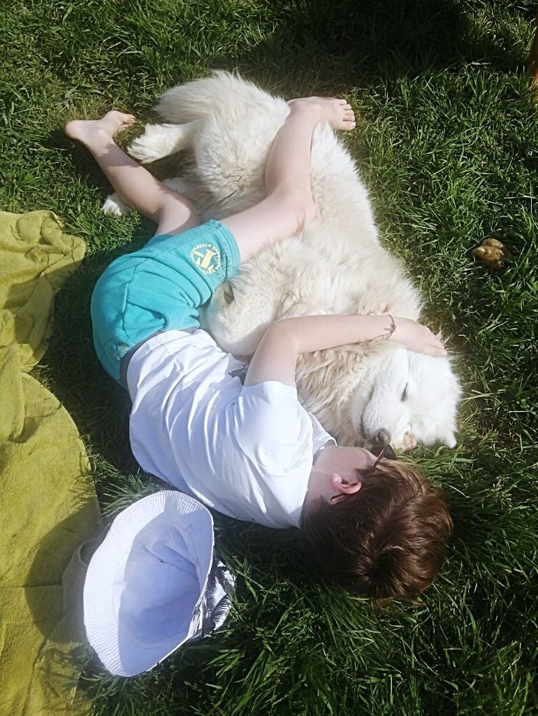 Publication : Du domaine d'Ilou 