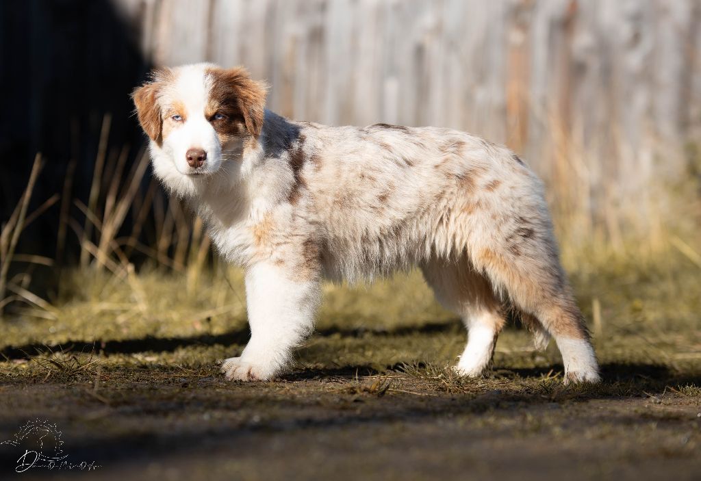 Publication : Du Domaine Du Moulin D'Aure 