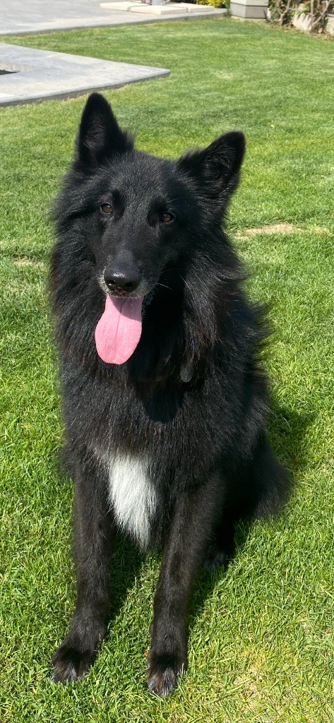 Publication : Stephan ARNAUD Auteur : Moi