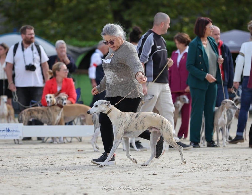 Publication : Diablesse You Will In Paris 