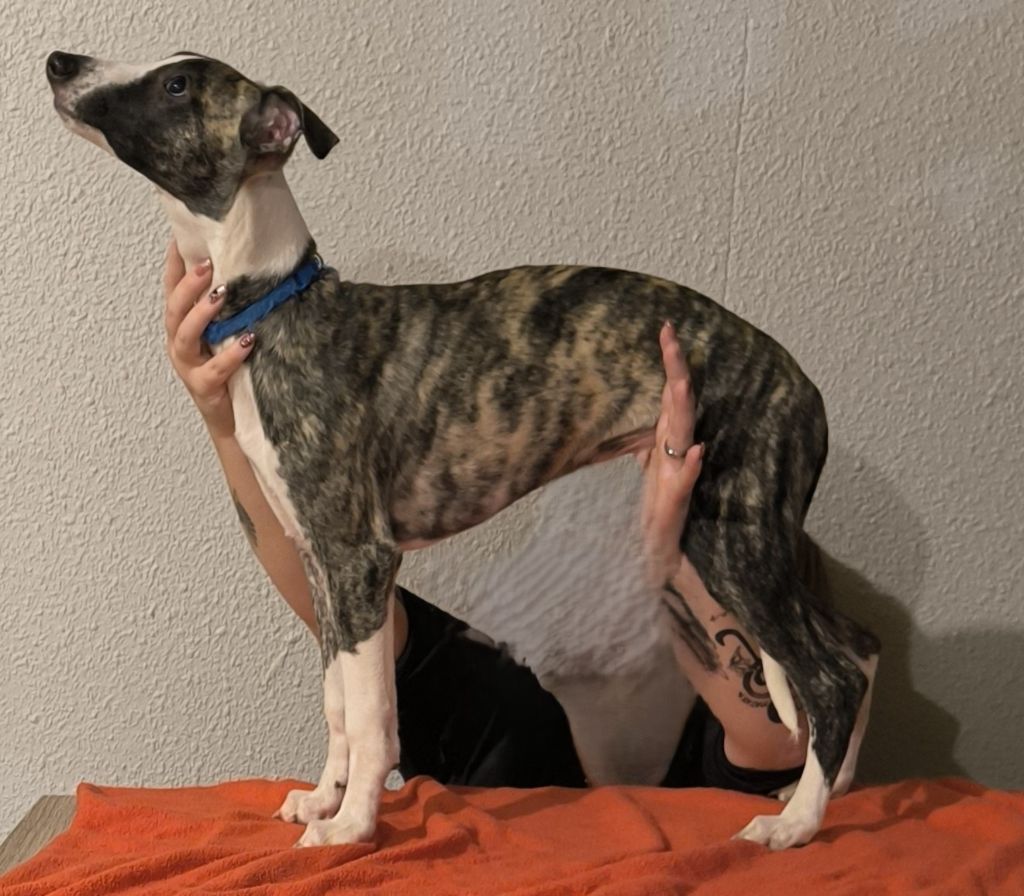 Publication : Hakuna'matata Kipepeo Auteur : peuch marine