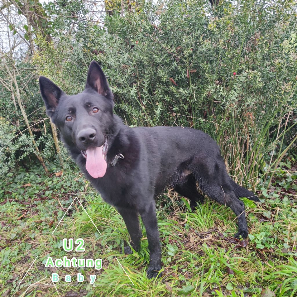 Publication : virginie&& JUDE Auteur : JV