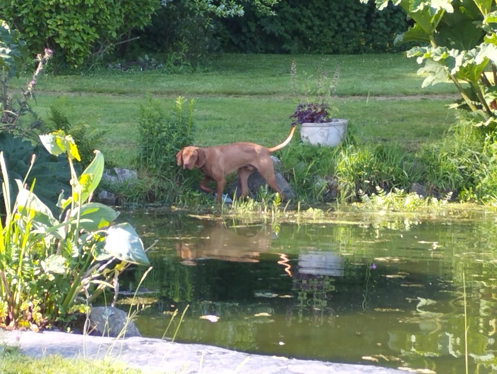 Publication : Michel GILBERT Auteur : M.GILBERT