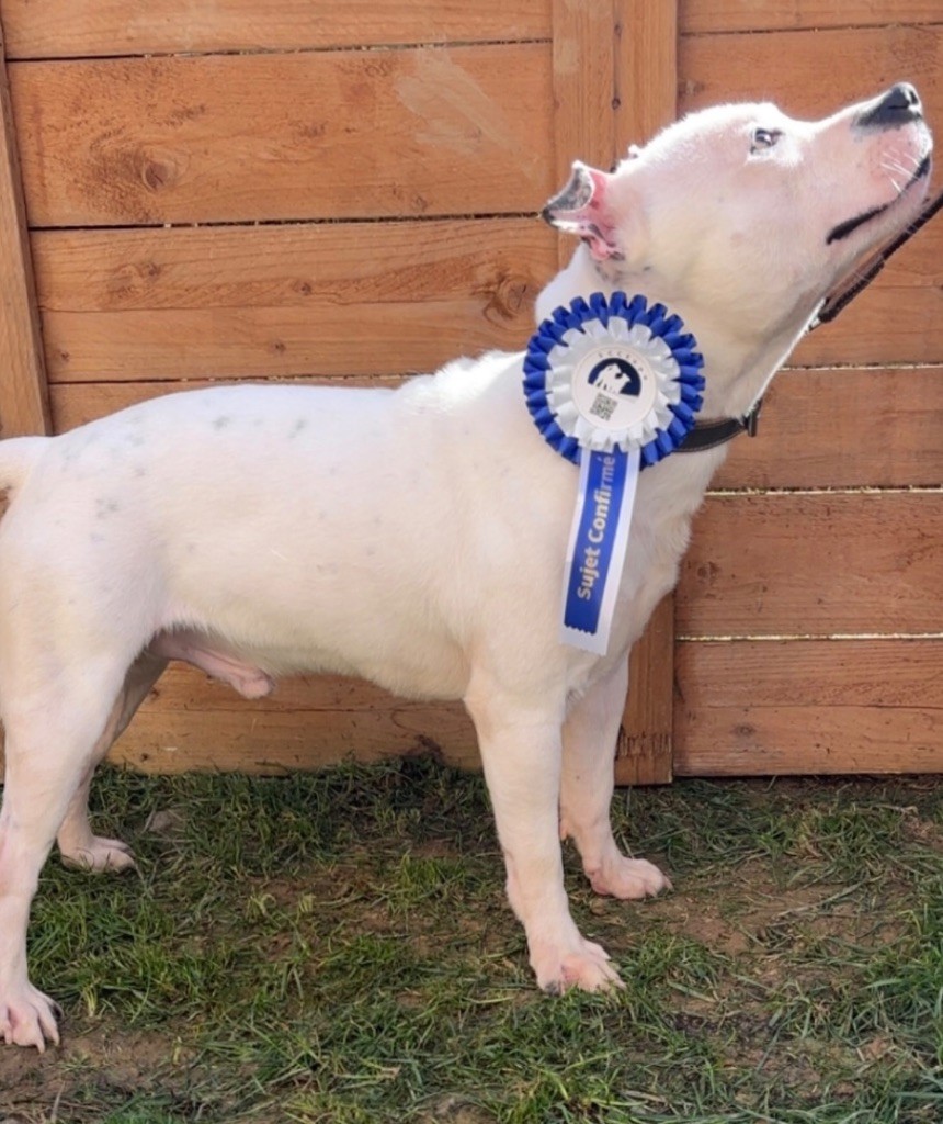 Publication : Jessica Pinault 