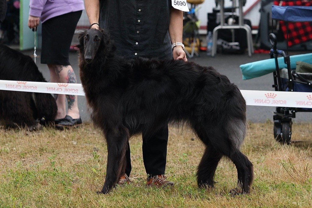 Publication : d'Ellendil 