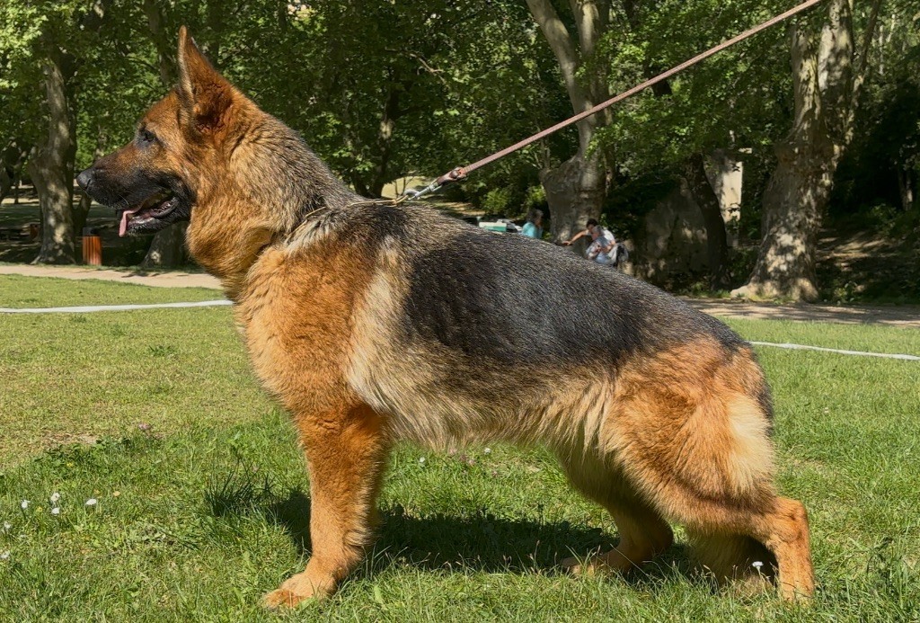 Publication : Du mazet des salins 