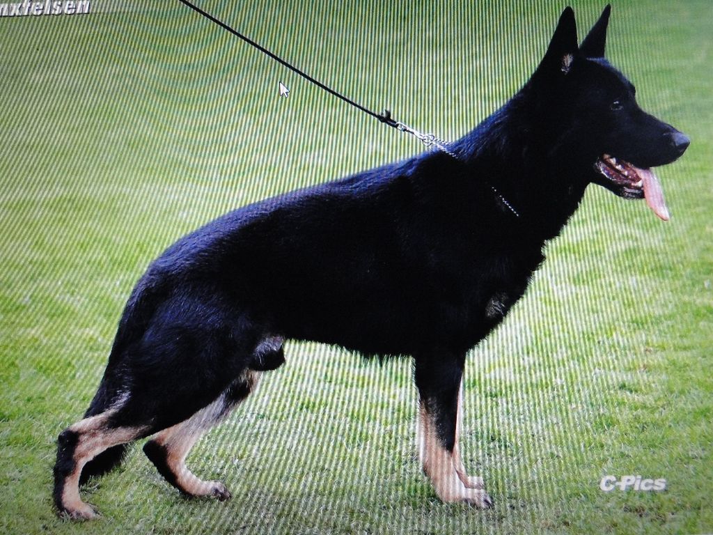 Publication : du Glaive Noir 