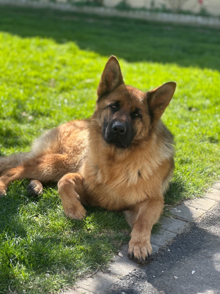 Publication : du moulin de madjurie 