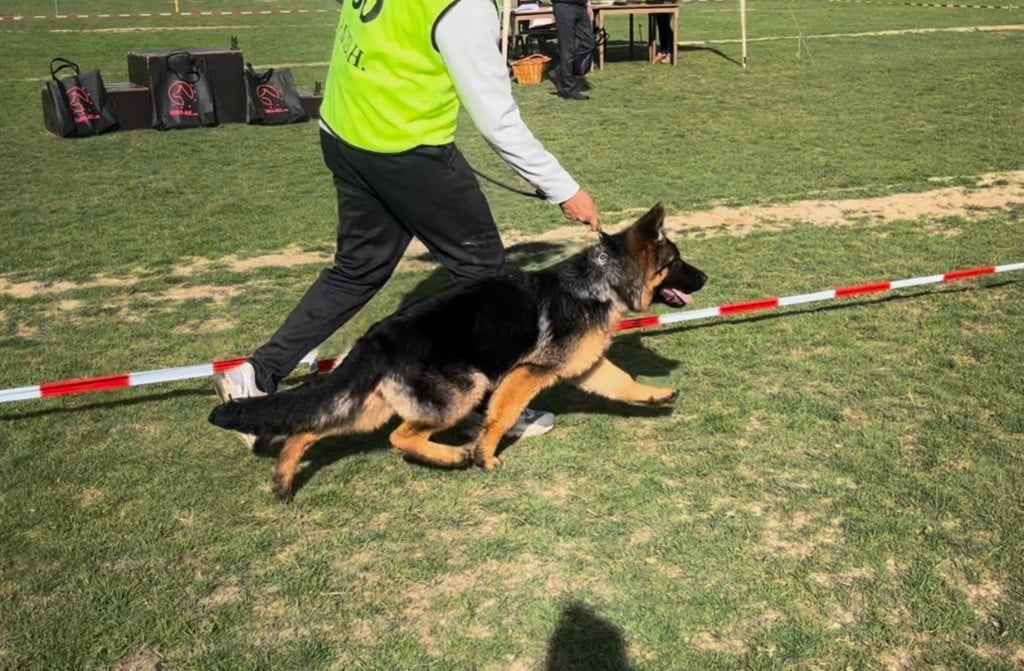 Publication : Von Haus Kenzy